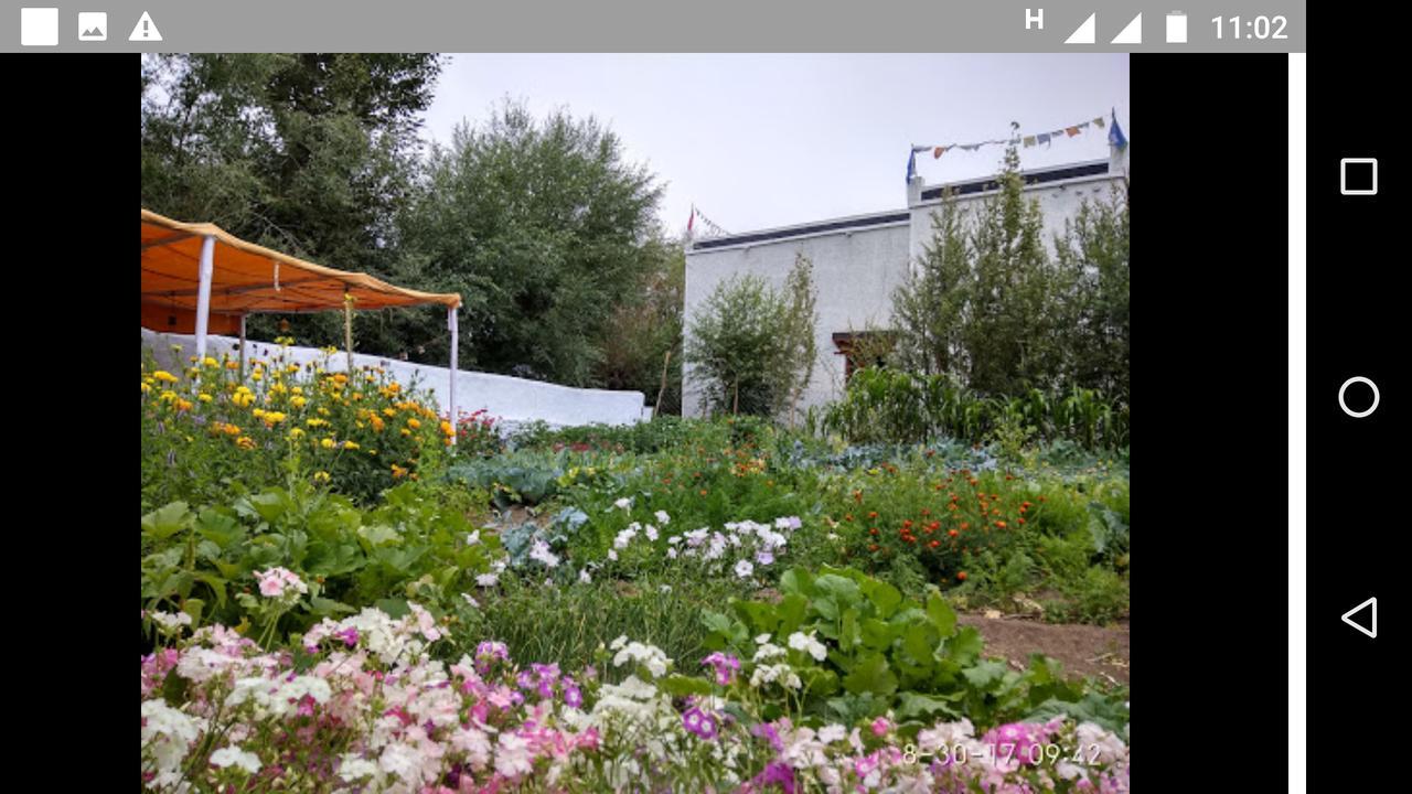 Jimmy'S Homestay Лех Екстер'єр фото